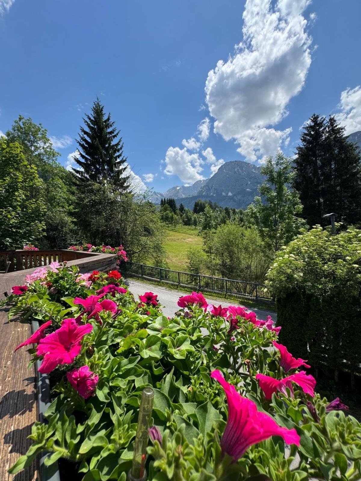 Sonnenburg Hotel Ehrwald Bagian luar foto